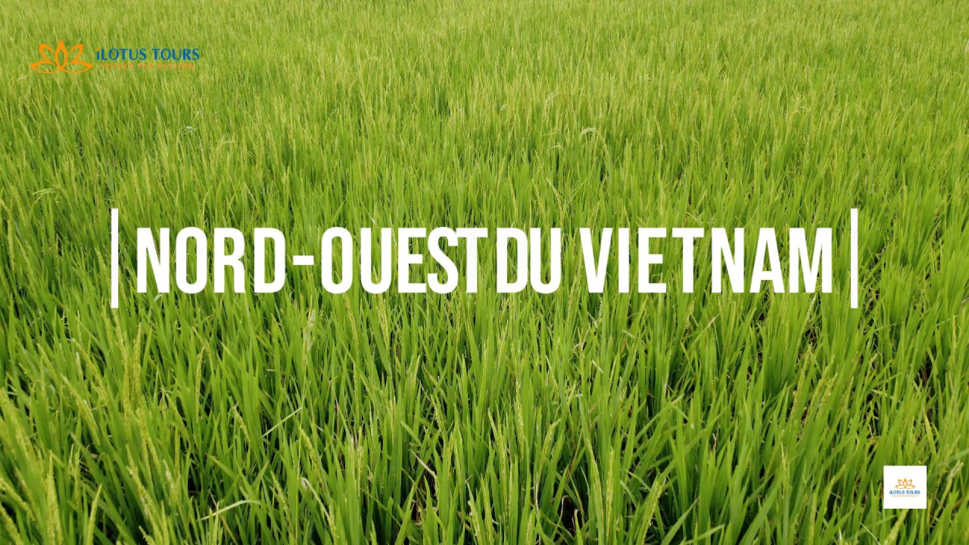 Le nostre prime parole