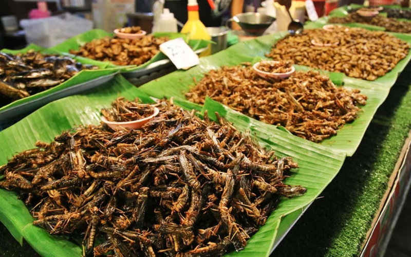 Insetti e pietanze insolite