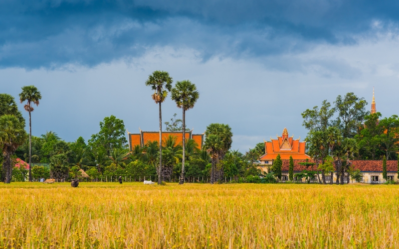Il periodo migliore per visitare la Cambogia