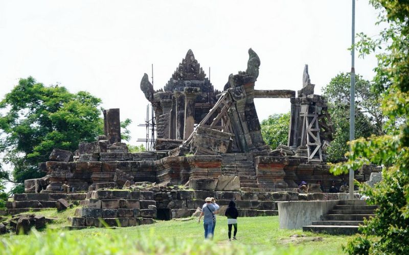 Fauna selvatica nelle foreste e montagne