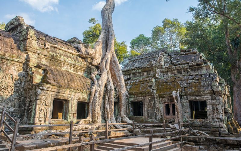 Ta Prohm