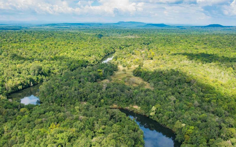 Come raggiungere i Monti Cardamomi Cambogia