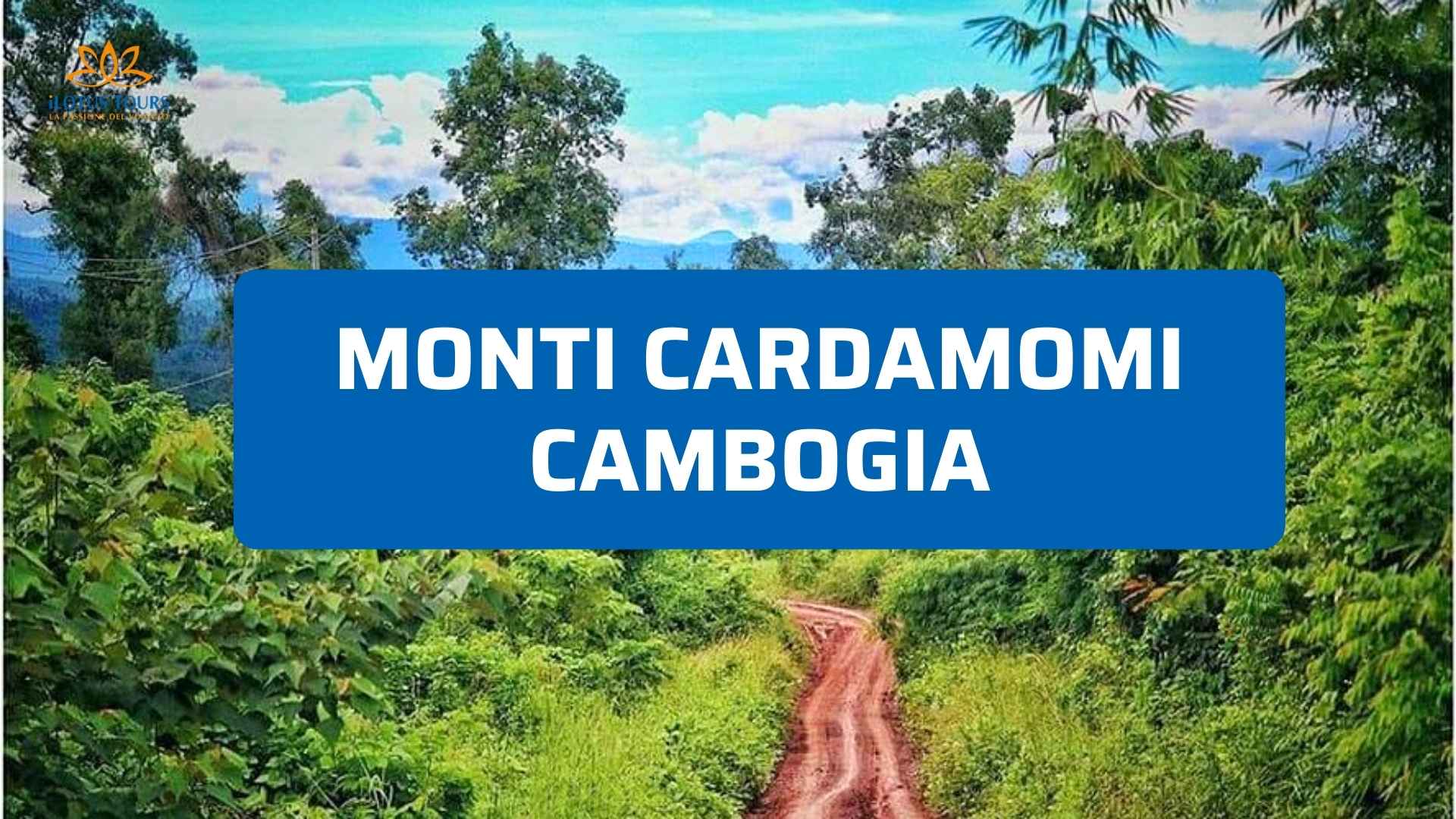 Monti Cardamomi Cambogia: guida tra giungla e trekking