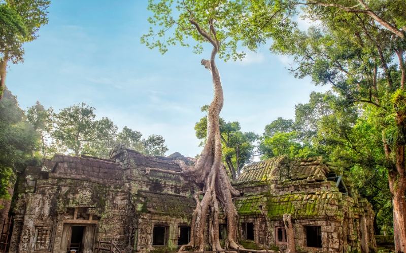 Il periodo migliore per andare in Cambogia secondo vostro profilo