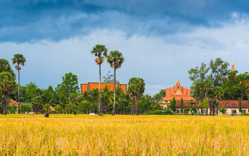 Il periodo migliore per viaggiare in Cambogia