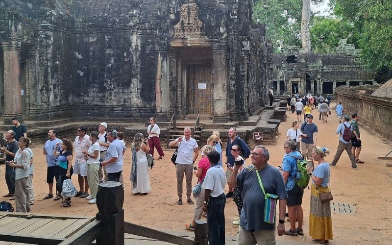Esperienza di camminare tra gli alberi del Ta Prohm