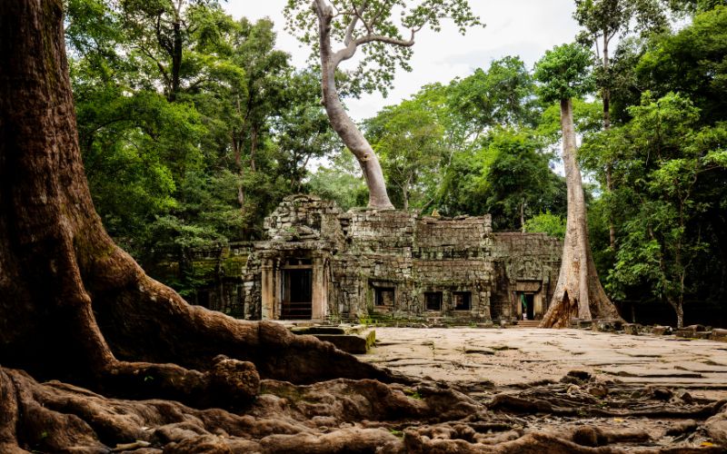 La storia del Ta Prohm