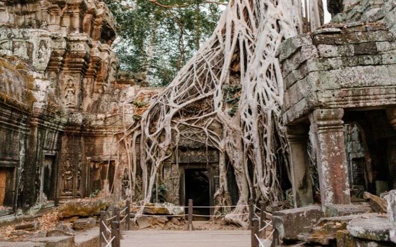Ta Prohm