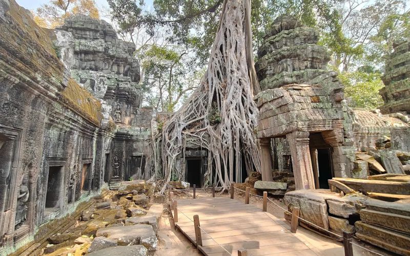 Ta Prohm