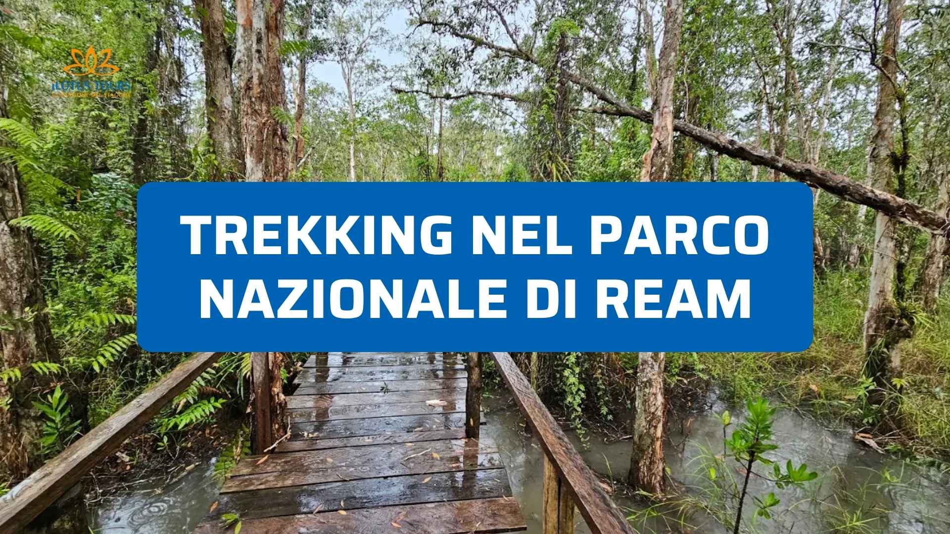 Trekking nel Parco Nazionale di Ream: Natura Wild, Mangrovie e Spiagge Deserte