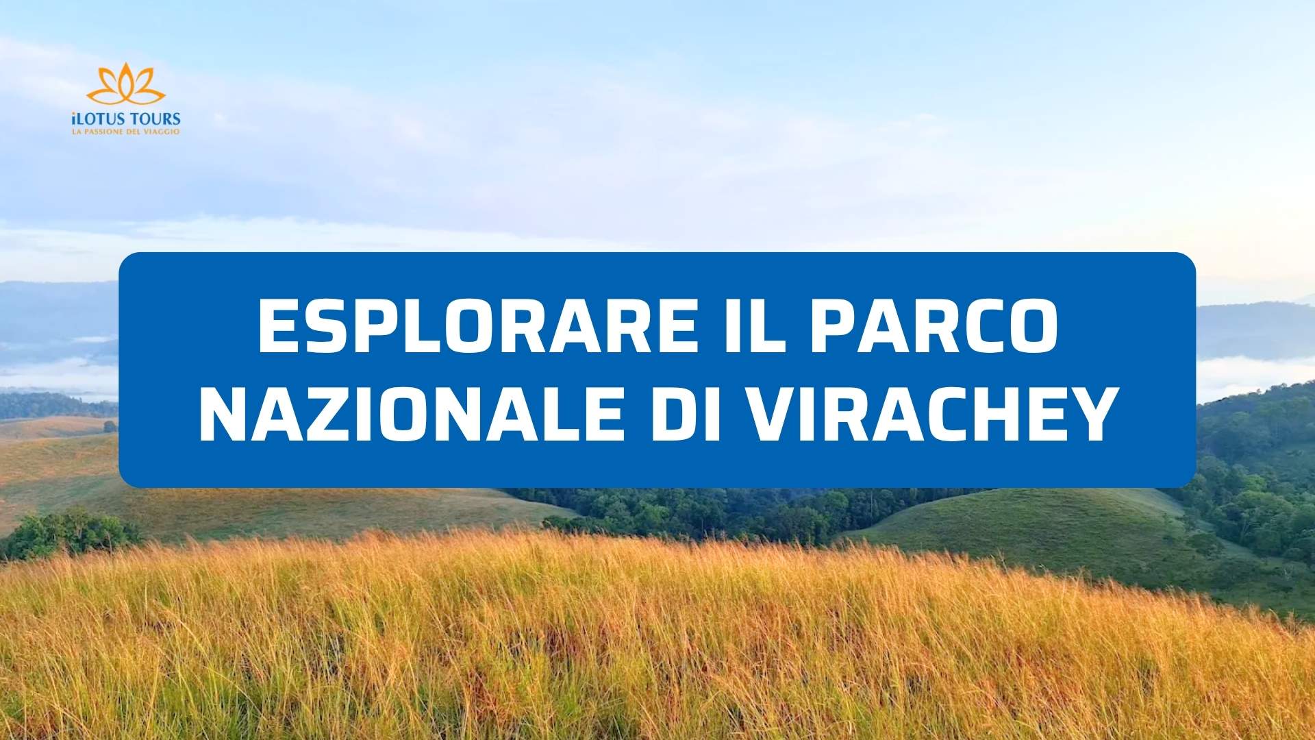 Esplorare il Parco Nazionale di Virachey: Trekking Estremo nella Giungla del Nord-Est