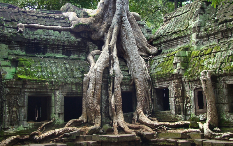 Ta Prohm