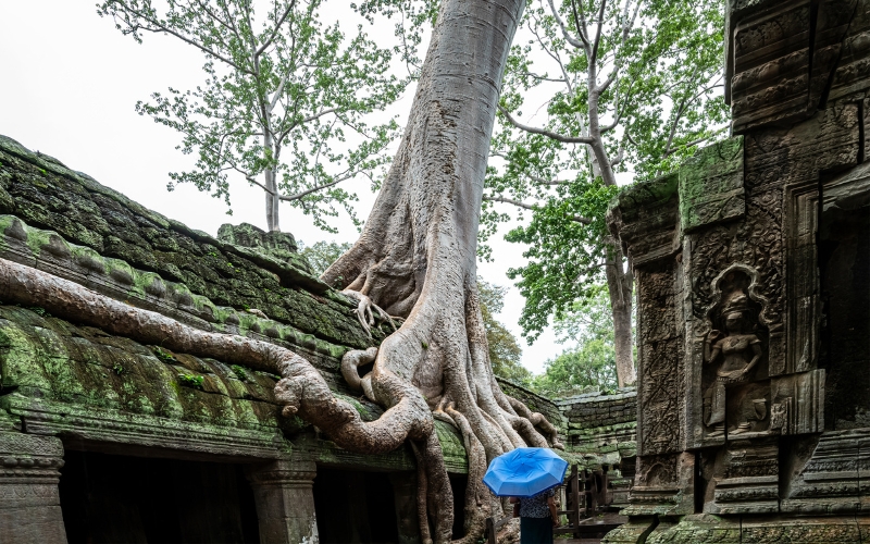 Tempio di Ta Prohm