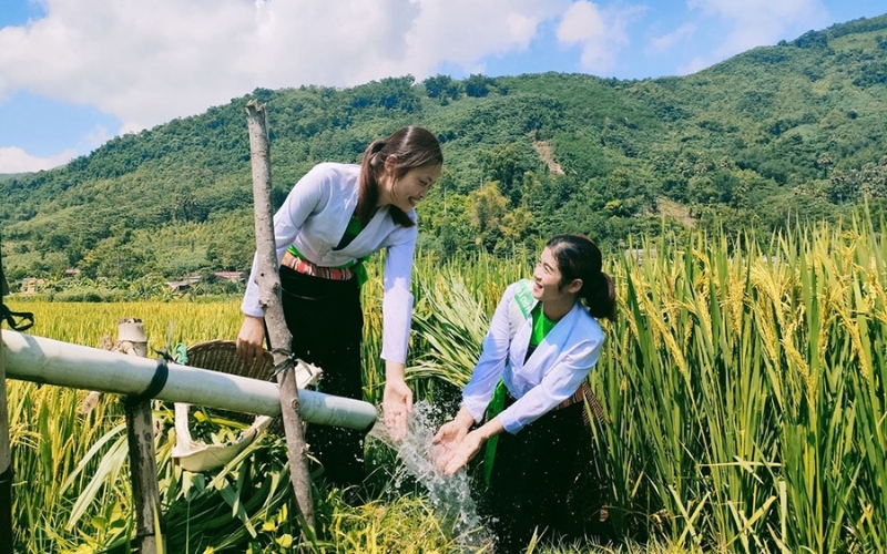 Agricoltura della vita dei Muong