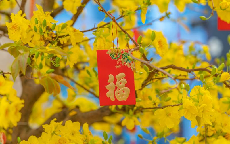 Esperienza del Li Xi durante il viaggio in Vietnam