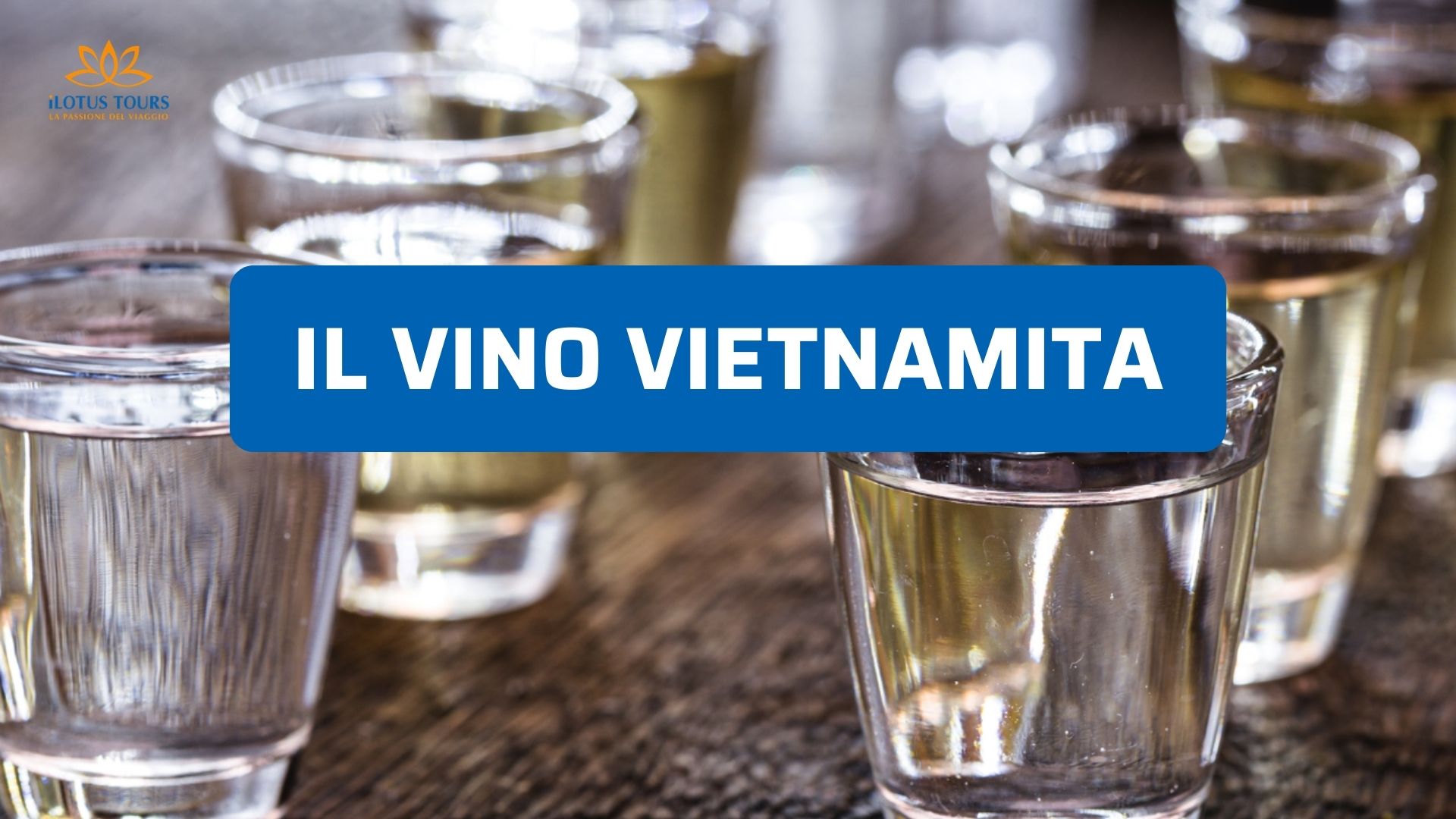 Vino vietnamita: storia, regioni e perché sta sorprendendo