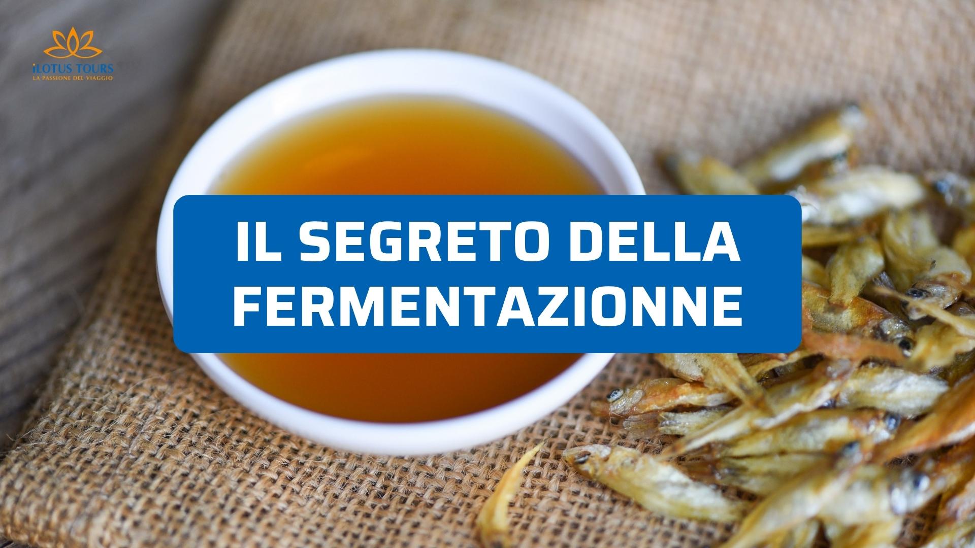 Il Segreto della Fermentazione: Viaggio nel Mondo dei