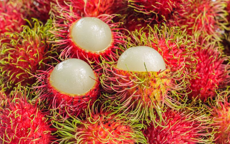 Il rambutan