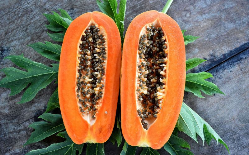La papaya