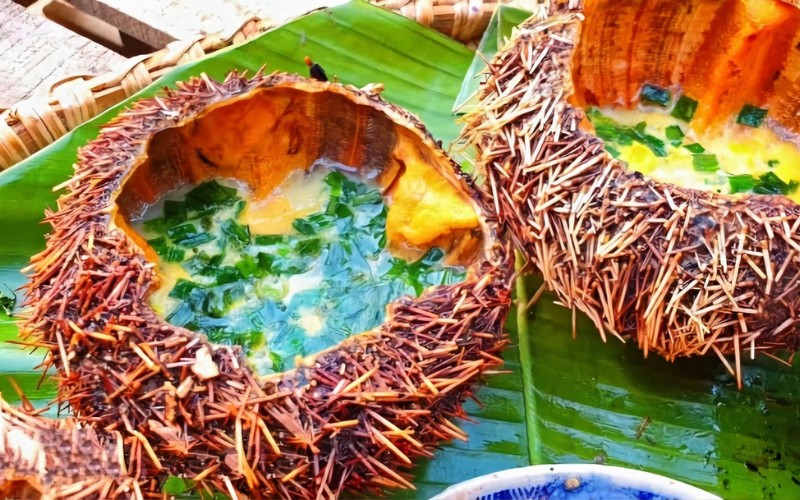 Echino riccio di mare di Phu Quoc