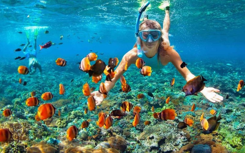 Snorkeling a Phu Quoc