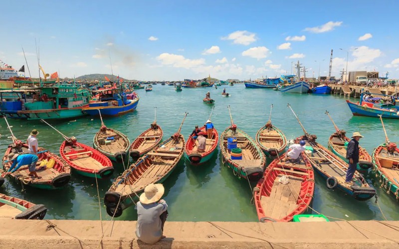 Villaggio di pescatori di Ham Ninh