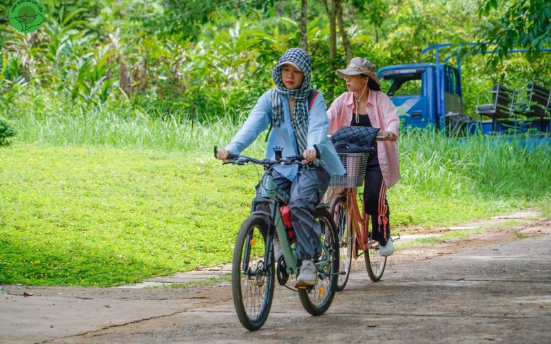Ciclismo nella Foresta