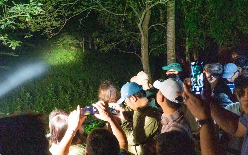 Consigli Pratici per il Safari Notturno