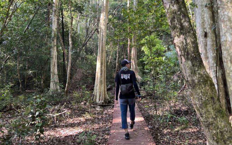 Trekking nella Foresta Pluviale