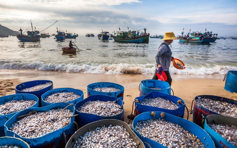 Il villaggio di pescatore di Nhon Ly