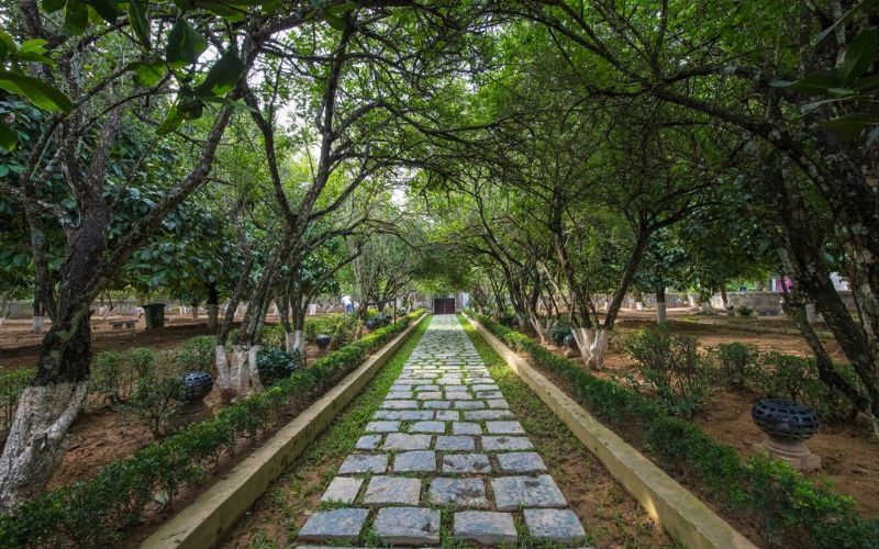 Il giardino