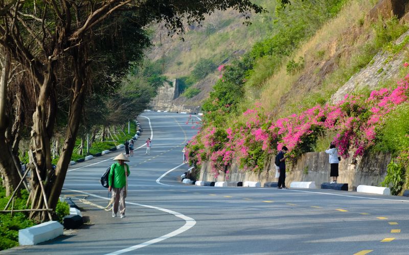 Le strade panoramiche e la foresta costiera