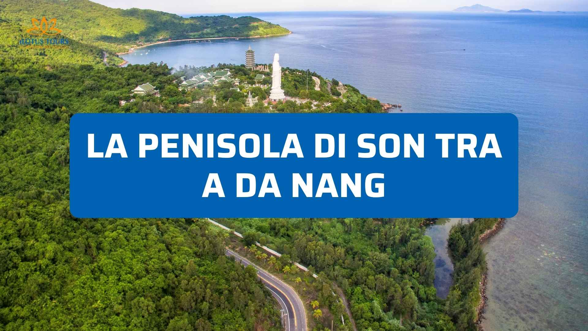 La Penisola di Son Tra a Da Nang 2026: natura, scimmie rare e panorami mozzafiato