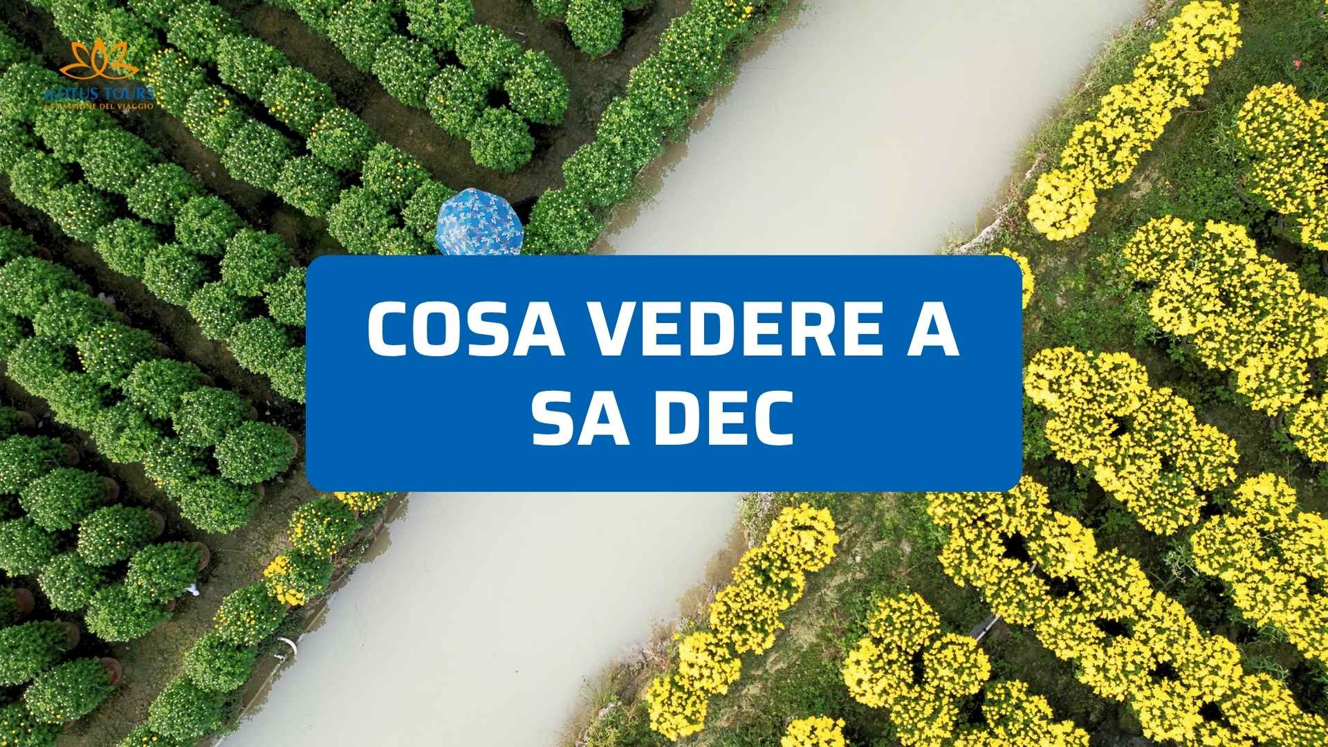 Cosa Vedere a Sa Dec: La Città dell'Amante di Marguerite Duras sul Delta del Mekong
