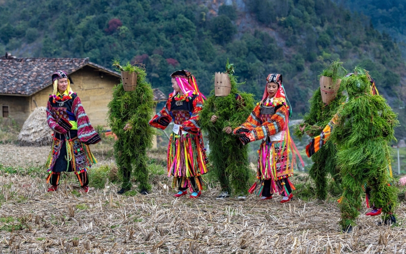 Festival del salto dell’albero