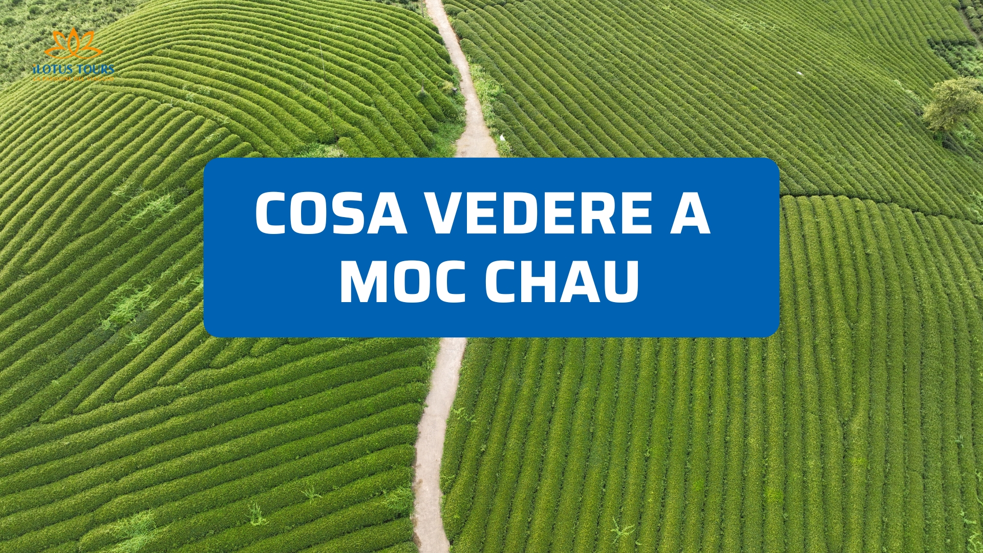 Cosa vedere a Moc Chau: colline di tè, cascate e villaggi autentici