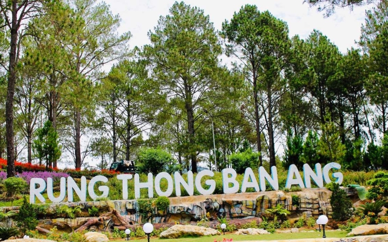 Foresta di pini Ban Ang