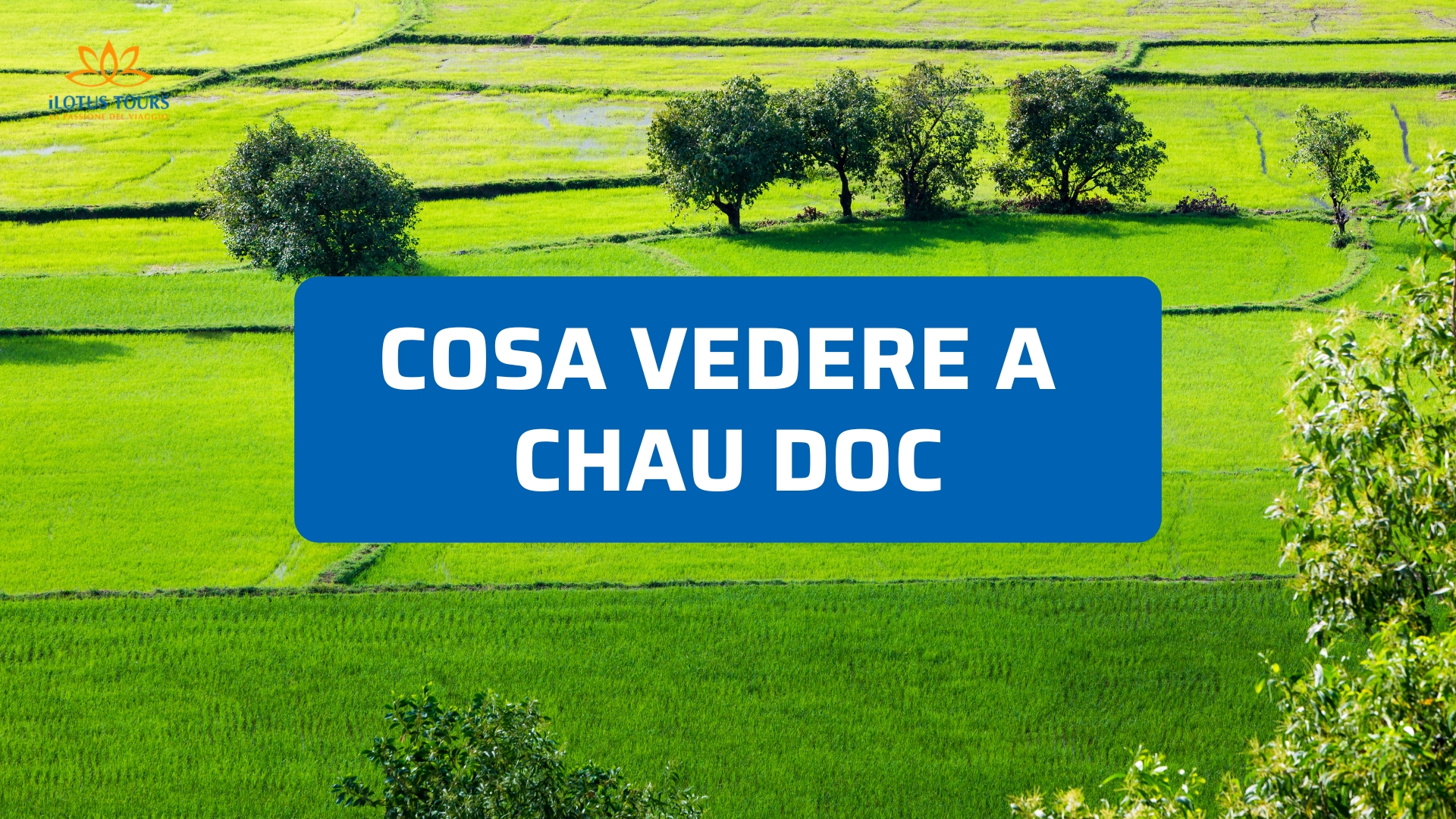Cosa vedere a Chau Doc: luoghi autentici da scoprire nel Delta del Mekong