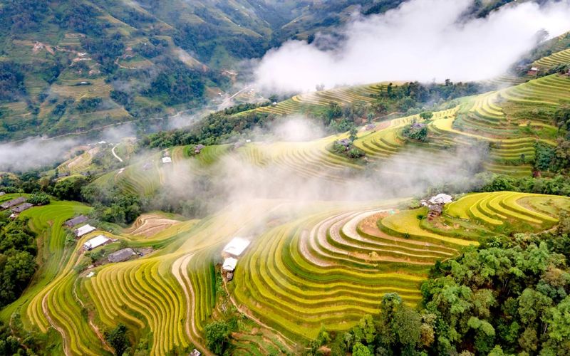 Esperienze agricole stagionali