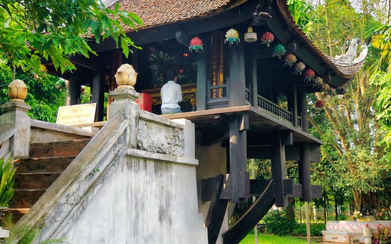 Un loto che emerge dall'acqua