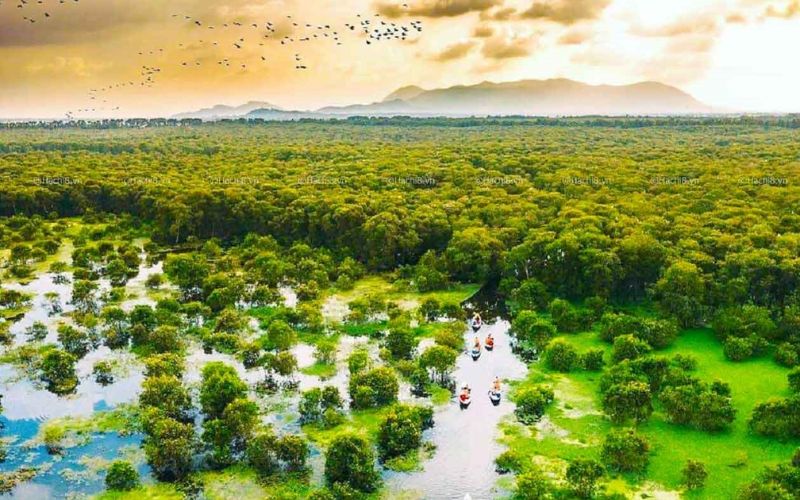 Il periodo migliore per visitare la foresta di Tra Su