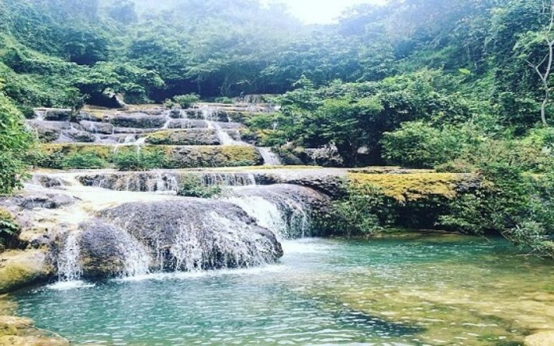 Il Giardino Botanico di Phong Nha