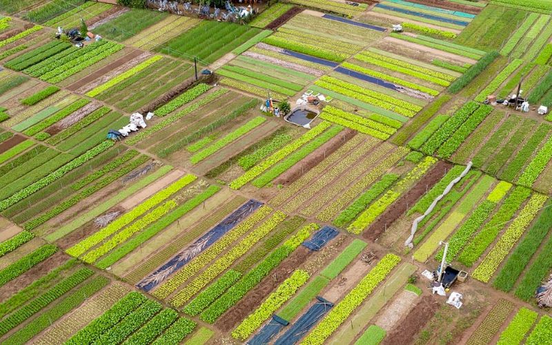 Il Giardino delle Erbe Aromatiche