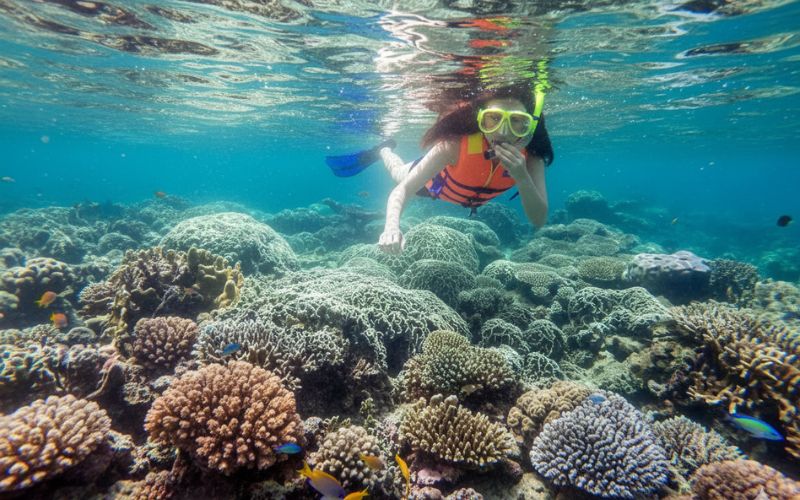 Snorkeling 