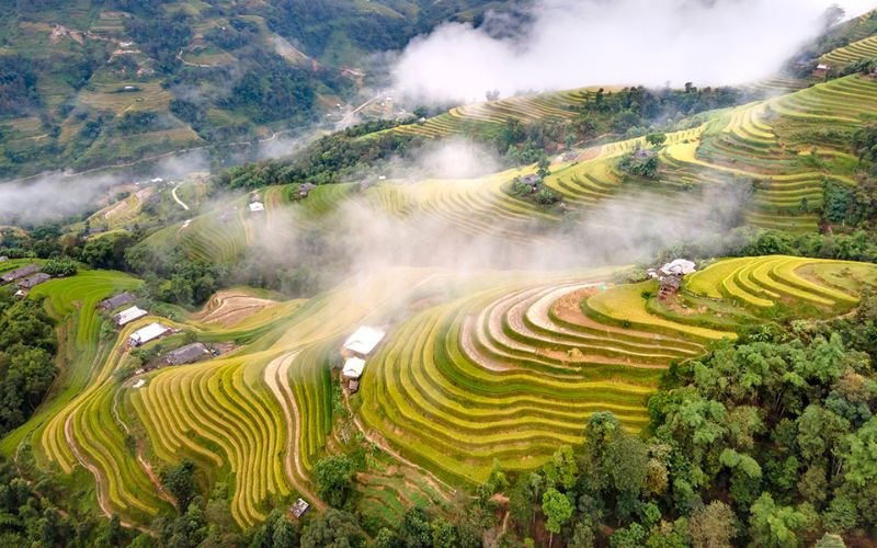 Hoang Su Phi