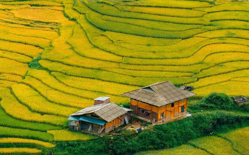 Sapa