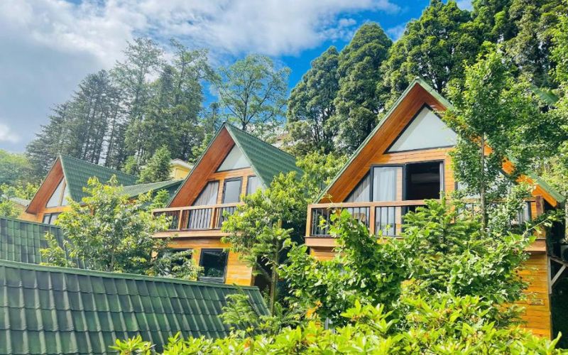 Sapa Pine Hill Eco Lodge