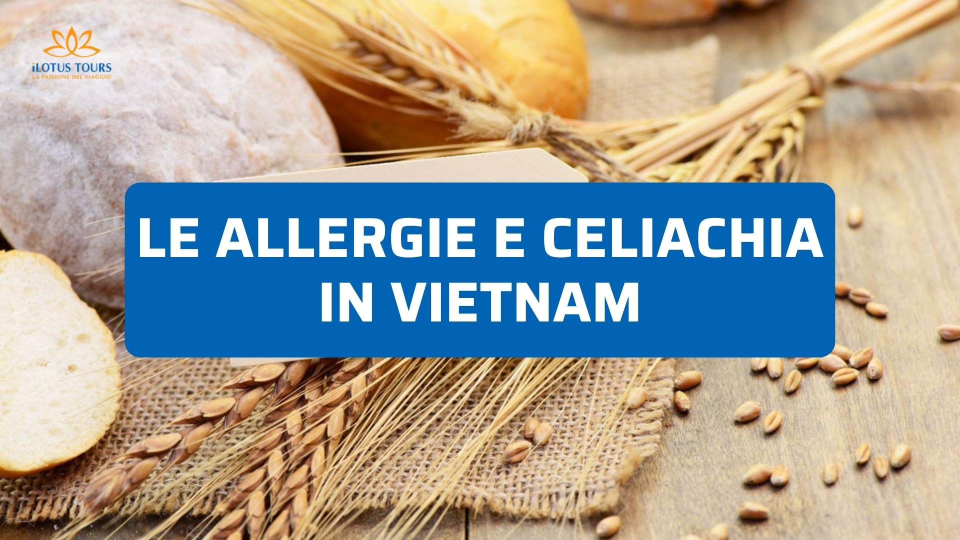 Allergie e Celiachia in Vietnam: Consigli Pratici per Mangiare Senza Glutine in Viaggio
