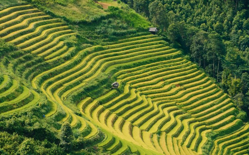 Clima del Nord Vietnam
