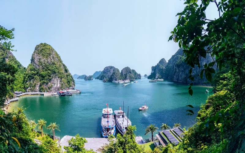 Primavera nella baia di Halong